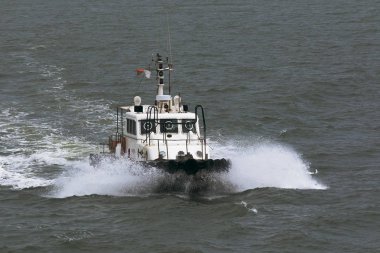 Pilot bir sürat teknesi yelken