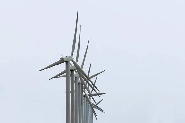 Aantal wind elektrische centrales — Stockfoto