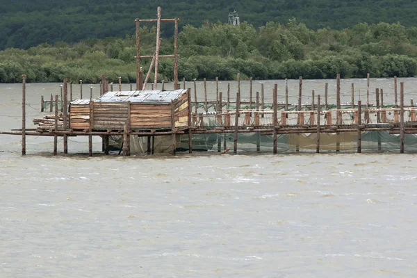 kampı Rusya Amur Nehri'ndeki Balık tutma