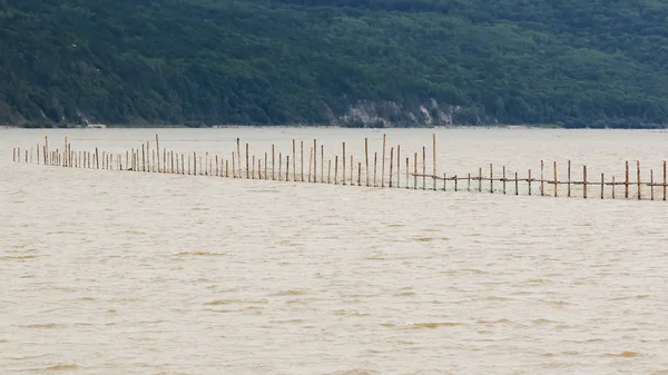 Mosty na ustawienie sieci na rzece Amur — Zdjęcie stockowe