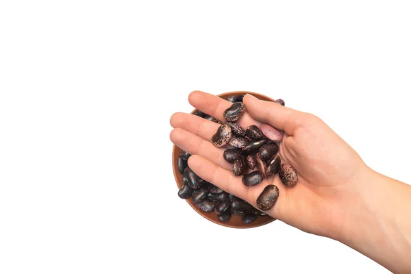 Dark red and purple kidney beans on white background. — Stock Photo, Image