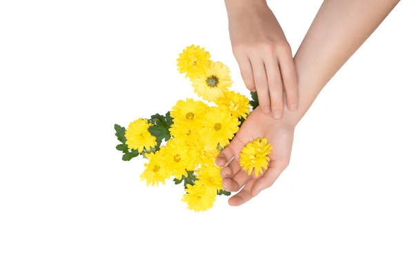 Weibliche Hände mit gelber Blume auf weißem Hintergrund. — Stockfoto