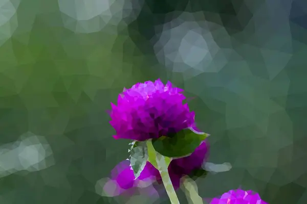 Abstrakcyjne Trójkąty kwiaty purpurowe Grobe Amaranth lub Bachelor 's Button — Zdjęcie stockowe