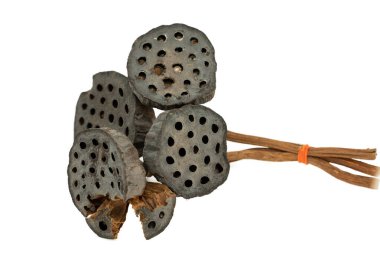 Beyaz arka planda izole edilmiş siyah nilüfer tohumu buketi