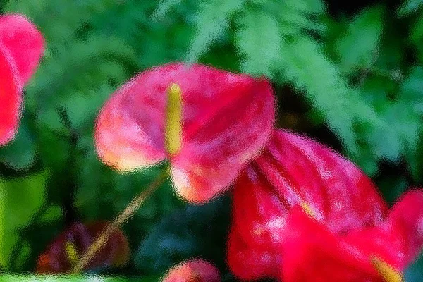 安泰瑞姆上的玻璃幕墙图像是一朵红心形的花 深绿色的叶子作为背景 使花朵显得非常漂亮 安魂曲已经成为好客的象征 — 图库照片