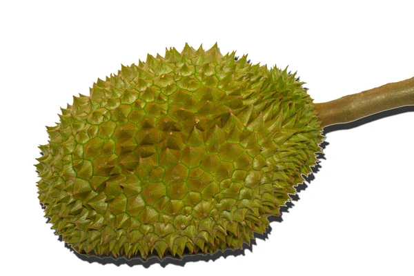 Durian Famous Fruit Thailand Also Known King Fruits White Background — Stock Photo, Image