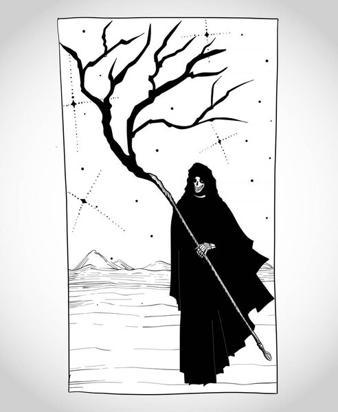 Illustration of the skeleton.