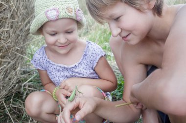 İki kardeş yeşil peygamber devesi yaz alanına bakarak