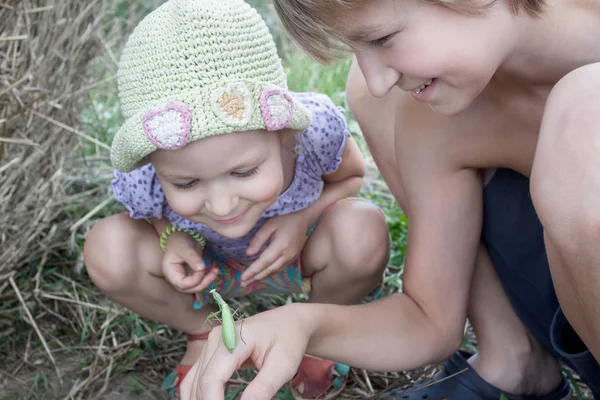 Dva sourozenci studují zelené kudlanky v létě pole — Stock fotografie