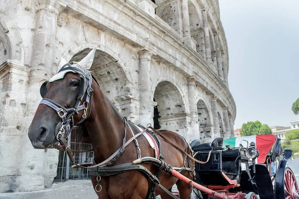 Horse drawn carriage or botticella in Italian on Rome street in front of ancient Colosseum — Stock Photo, Image