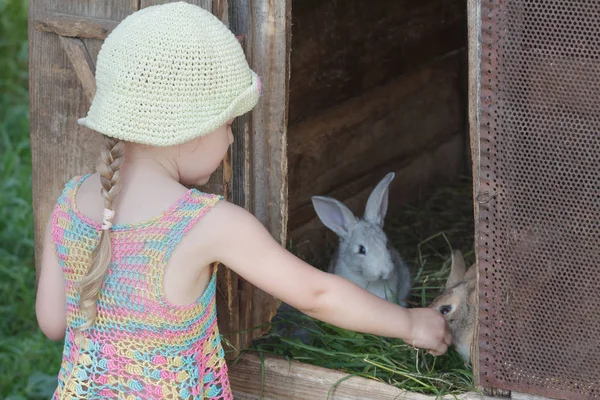 Chica de granja alimentando conejos domésticos con hierba fresca — Foto de Stock