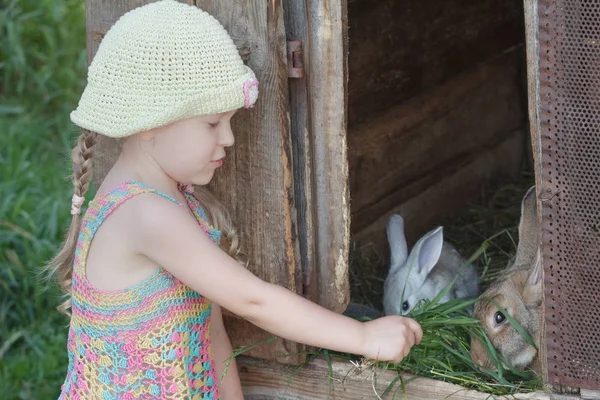 Девочка, дающая зеленую траву домашним кроликам — стоковое фото