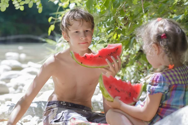 Warme dag picknick van twee broers en zussen met grote watermeloen — Stockfoto