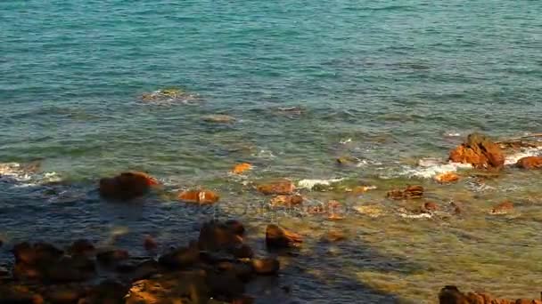 Île sur la mer tropicale, Chumphon Thaïlande — Video