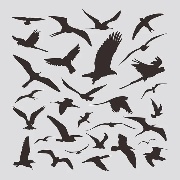 Set Diversi Uccelli Volo Silhouette Illustrazione Design Nero Uccello Silhouette — Vettoriale Stock