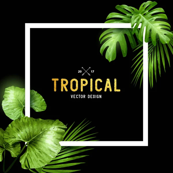 Cadre exotique tropical d'été — Image vectorielle