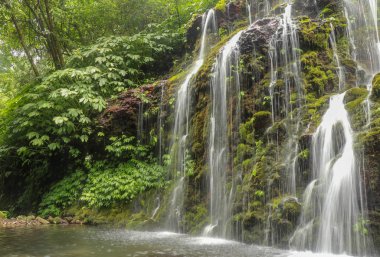 Endonezya 'nın Bali adasında Banyuwala şelalesi. Manzaralı şelale 