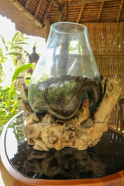 Natural Coffee Arabica beans in a glass ornamental jar placed on