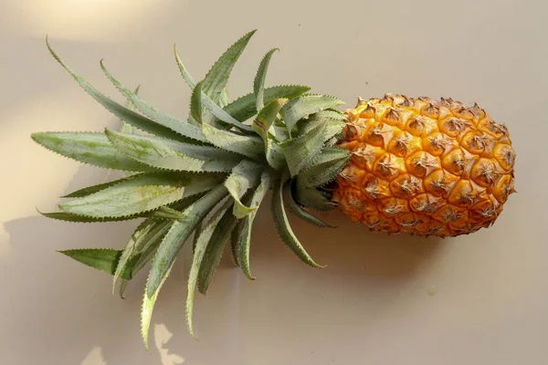 Enstaka hela tropiska ananas frukter eller ananas isolerade på vitlök — Stockfoto