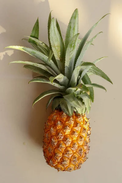 Single whole pineapple tropical fruit or ananas isolated on whit