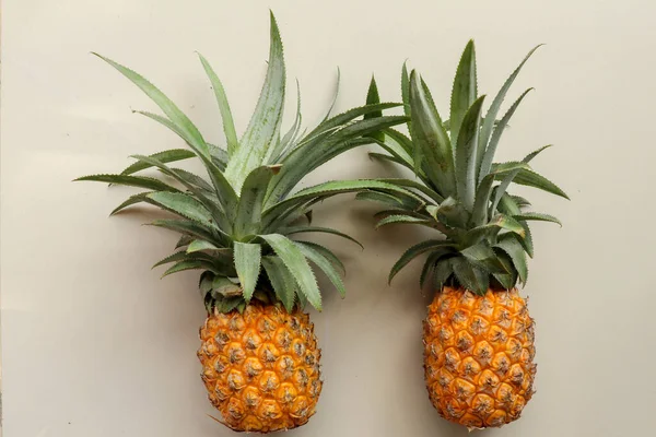 Para całych owoców tropikalnych ananasowych lub ananasów izolowanych na białku — Zdjęcie stockowe