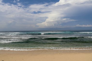 Sörfçüler sörf tahtalarında uygun bir dalga bekliyorlar. T