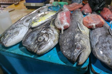 Jimbaran, Bali Adası 'ndaki yerel pazarda taze deniz ürünleri satıyor. Satılık taze balık. Dorado yunus balığı mahi-mahi ya da Coryphaena Hippurusl olarak da bilinir..