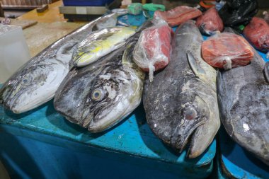Jimbaran, Bali Adası 'ndaki yerel pazarda taze deniz ürünleri satıyor. Satılık taze balık. Dorado yunus balığı mahi-mahi ya da Coryphaena Hippurusl olarak da bilinir..