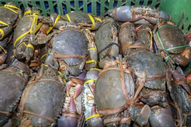 Jimbaran 'da bir deniz ürünleri tezgahında satılan taze yengeç deseni. Pasar Ikan Kedonganan - Bali plajı. Yerel balık pazarında taze yengeçler. Plastik taşıyıcıda satılık bir avuç yengeç..