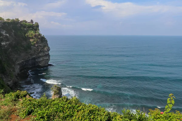 Panorama Okyanus Kıyısı Bak Cliff Çiçek Yeşil Başlıklı Dikey Uçurum — Stok fotoğraf