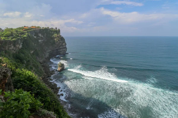 Vista Panorámica Costa Del Océano Acantilado Escena Abrumadora Flor Acantilado — Foto de Stock