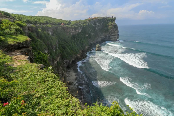 Vista Panorámica Costa Del Océano Acantilado Escena Abrumadora Flor Acantilado — Foto de Stock