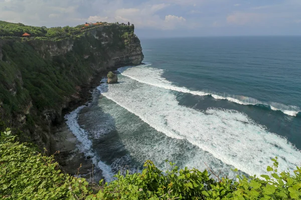 Panorama Okyanus Kıyısı Bak Cliff Çiçek Yeşil Başlıklı Dikey Uçurum — Stok fotoğraf