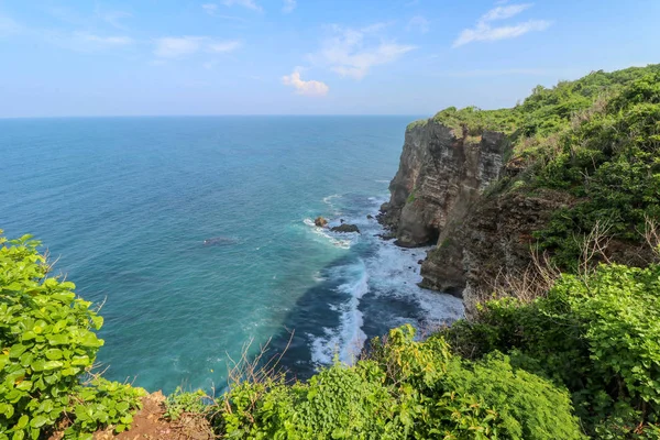 Panorama Okyanus Kıyısı Bak Cliff Çiçek Yeşil Başlıklı Dikey Uçurum — Stok fotoğraf