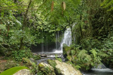 Su Yeh Ho Nehri 'ndeki taşların arasından tropikal ormanda akıyor. Endonezya 'nın Bali kentinde Jatiluwih pirinç terası yakınlarındaki Tabanan' ın verimli pirinç tarlası Penebel köyünde güzel bir şelale bulunmaktadır..