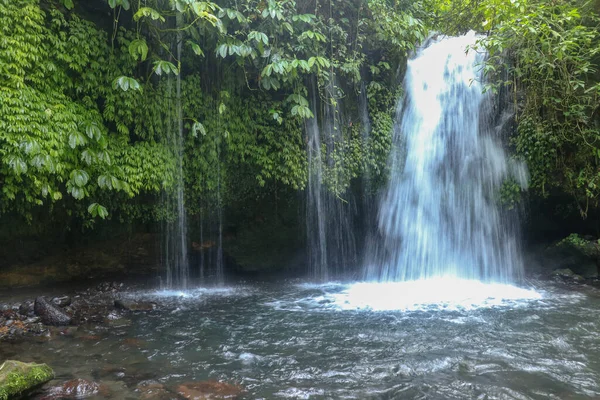 叶浩瀑布溪流位于印度尼西亚巴厘岛Jatiluwih稻田附近的Tabanan长满繁茂稻田的Penebel村 热带丛林深处美丽的瀑布 — 图库照片