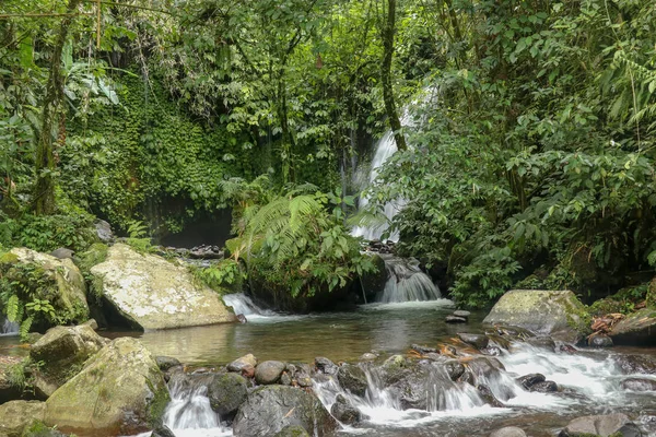 Agua Fluye Través Piedras Río Yeh Selva Tropical Hermosa Cascada — Foto de Stock