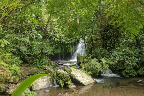 Agua Fluye Través Piedras Río Yeh Selva Tropical Hermosa Cascada — Foto de Stock