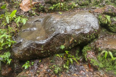 Endonezya, Bali Adası 'ndaki Banyuwana Amerta Şelalesi' nde ıslak bir kaya. Tropikal ormanda kahverengi taş. Tropikal bitki örtüsü nemli taşlar ve çevresiyle kaplıdır. Doğal arkaplan.