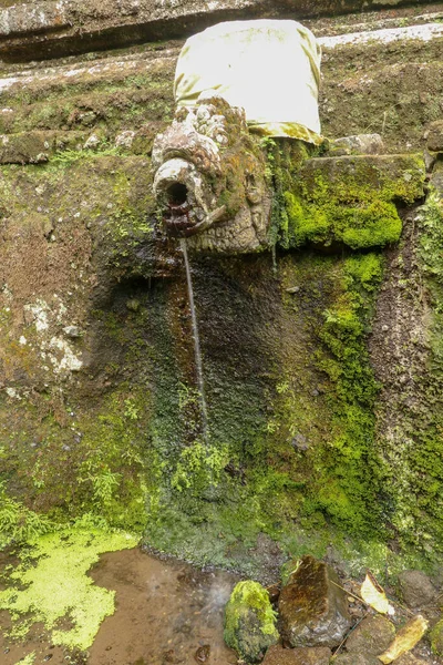 在乌代王陵的建筑群中 有圣水的石榴 古皇家墓葬在Gunung Kawi寺 巴厘岛 围绕着刻在石崖上的皇家墓碑的丧葬建筑群 — 图库照片