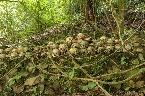 Skulls at Kuburan Terunyan Cemetery on the Island of Bali. Human skulls stacked in rows on top of each other on stone walls beneath banyan trees, which absorb the smell of rotting human remains.