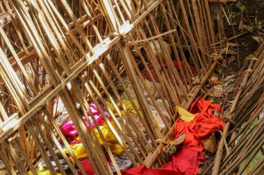 Terunyan köyündeki mezarlıkta bir sürü bambu çubuğu. Endonezya, Bali 'de geleneksel Kuburan. Cesetler yerin üstünde gömülü. Renkli kumaşların arasında insan kafatası. Hindu inancının birleşmiş bir parçası.