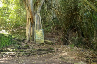 Trunyan köyündeki bambu çubukları. Endonezya, Bali 'de geleneksel Kuburan. Cesetler yerin üstünde gömülü. Renkli kumaşların arasında insan kafatası. Pagan Hindu inancının birleşmiş bir parçası. Terunyan Mezarlığı