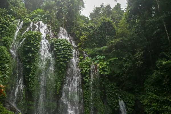 Krásný Malebný Vodopád Vysoko Horách Ostrově Bali Voda Teče Mnoha — Stock fotografie