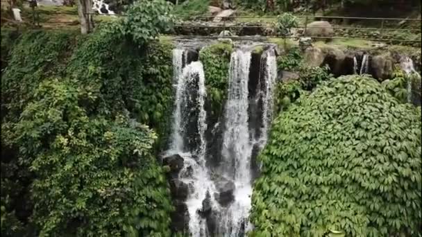 Тропический Водопад Зеленых Тропических Лесах Вид Воздуха Тройной Водопад Sekumpul — стоковое видео