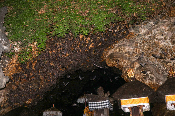 Altars at Pura Goa Lawah or Bat Cave Temple. Balinese Hindu temple, Klungkung, Bali, Indonesia. Some bats fly under a rock overhang. Colony of bats hanging from the ceiling and are waiting dark.