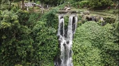 Yeşil yağmur ormanlarında tropik şelale. Dağ ormanında hava manzaralı üçlü şelale Sekumpul. Bali, Endonezya. Seyahat konsepti. Hava görüntüleri. İnanılmaz bir arkaplan