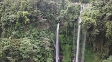 Yeşil yağmur ormanlarında tropik şelale. Dağ ormanında hava manzaralı üçlü şelale Sekumpul. Bali, Endonezya. Seyahat konsepti. Hava görüntüleri. İnanılmaz bir arkaplan