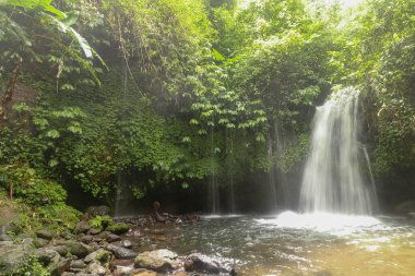 Yeh Ho Şelalesi, Tabanan 'daki pirinç tarlası yüklü Penebel köyünde yer almaktadır. Bali, Endonezya 'da Jatiluwih pirinç terası yakınlarında bir şelale. Tropikal ormanın derinliklerinde güzel bir şelale.