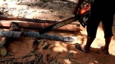 Elektrikli testereli bir adam bir palmiye ağacının gövdesini keser. Kabaca kesilmiş hindistan cevizi palmiyesinden yapılmış ahşap kirişler. Bali, Endonezya 'da tropikal bir yağmur ormanında yerde yatan taze talaş tabakası